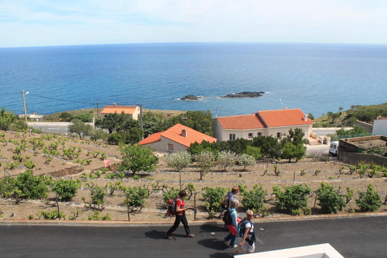 Appartement Vue Mer El Farniente Cerbère Exteriér fotografie